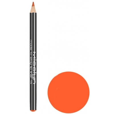 MISSLYN MADE TO STAY LIP LINER
